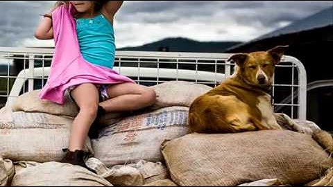 Ken Burns Effect Demo