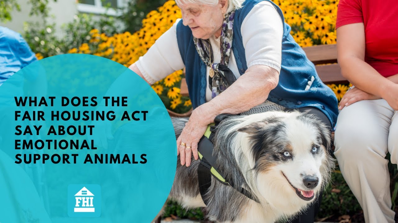 What Does The Fair Housing Act Say About Emotional Support Animals?  -  Episode 15