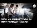 Оштун мэри маршруткаларды күтүүсүз жерден текшерди