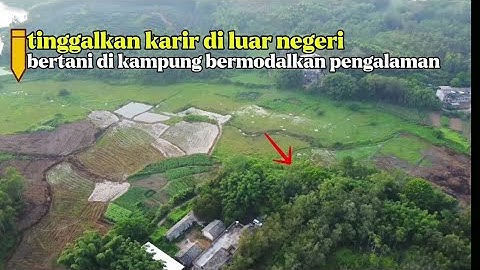 Tinggalkan karir di luar negeri !! Pulang dan bertani dengan bermodalkan pengalaman