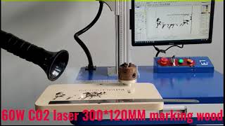 Nanjing Speedy Laser-60W DAVI CO2 laser marking machine on wood with 300*120 mm large marking area