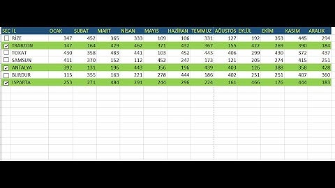 Onay Kutusu ile satır renklendirme