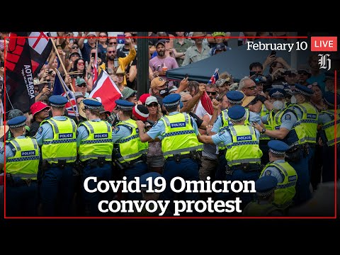 Wellington Covid-19 Omicron convoy protest