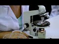 Female scientist examines a sample under a microscope in a lab setting!