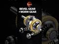 Bevel Gear + Worm Gear Combined Drive System | Hybrid Torque  #gearbox #wormgear #bevelgear