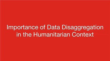 Webinar: The Importance of Data Disaggregation in the Humanitarian Context