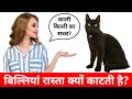 बिल्लियों के संबंधित कुछ ऐसी धारणाएं | Do cats bring bad luck