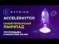 Обзор Raydium AcceleRaytor. Как участвовать и сколько можно заработать?