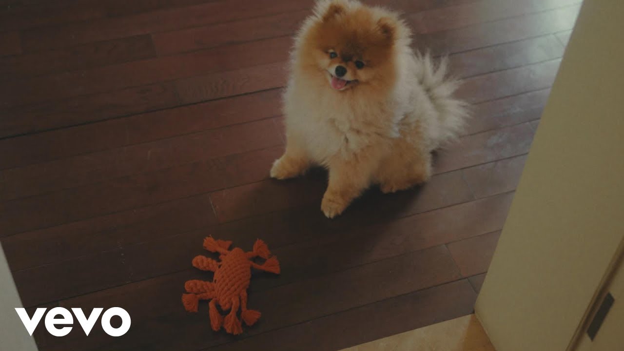 Wendy Wang - maple tears (Official Music Video)