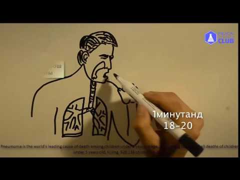 Видео: Муур дахь уушгины хатгалгаа (Тэмүүлэл)