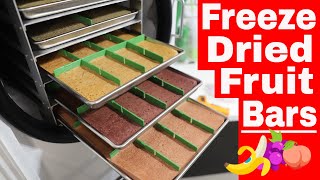 Freeze Dried Fruit Bars -- Banana, Strawberry, Blueberry, Peach