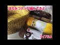 【ライブ】はちみつバッグ編んでるよ