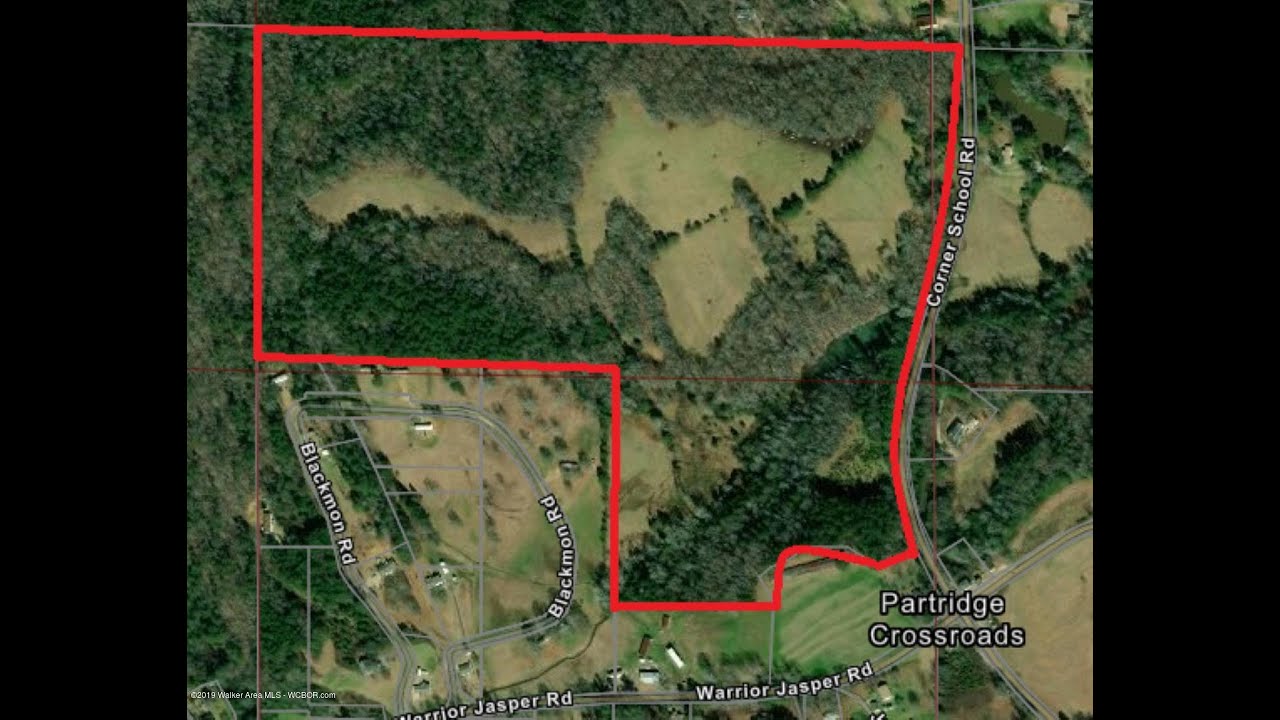 Homes for sale CORNER SCHOOL, Warrior, AL 35180 YouTube