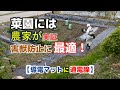 【家庭菜園】電気柵の作り方 How to make an electricity fence電圍欄的製作方法