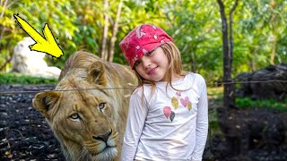 The lioness silently crept up to the little girl, and then something shocking happened! by AMAZING STORIES 1,087 views 4 days ago 10 minutes, 13 seconds