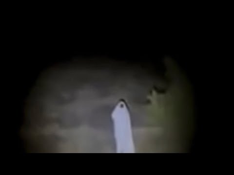 Real jinn caught on camera. Arabian ghost videos and horror footage of jinn.