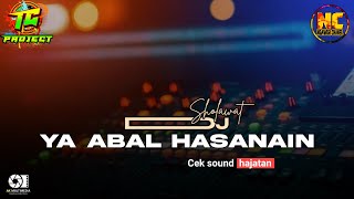 DJ Sholawat Ya Abal Hasanain slow bass