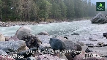 تلاوة هادئة لسورة المؤمنون بصوت القارئ الشيخ رعد الكردي #سورة_المؤمنون #رعد_الكردي #قناة_نور_القرآن
