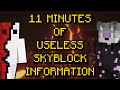 11 Minutes of Useless Hypixel Skyblock Information