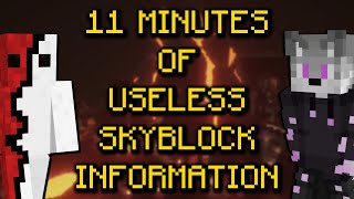 11 Minutes of Useless Hypixel Skyblock Information