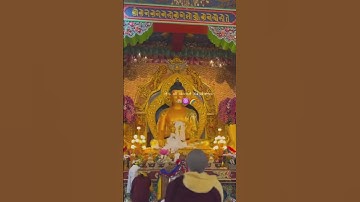 Thumbnail of Buddhism is all about  kindness...