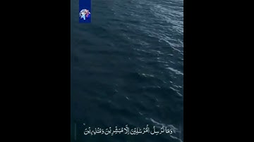 سورة الكهف أية بصوت محمود الشحات انور