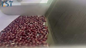 Red bean color sorter