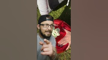 You Better Listen 👂 #shorts #eyetest #mindgame #satisfyingvideo