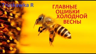 Пчёлы. Очень холодная весна, плохо старт семей. Главные ошибки ранней весной. #TruskawkaR