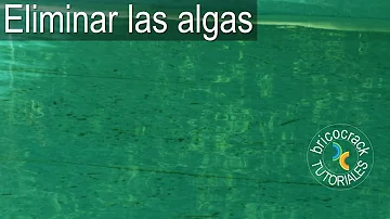 ¿El choque mata las algas en una piscina?