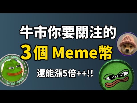 這3個 Meme幣是下一個 Shib!! I 牛市你要關注的3個 Meme幣 I 2025牛市還能再漲 5倍！