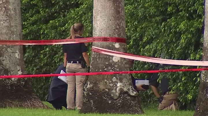 Revelan nuevos detalles sobre intento de asesinato contra Trump