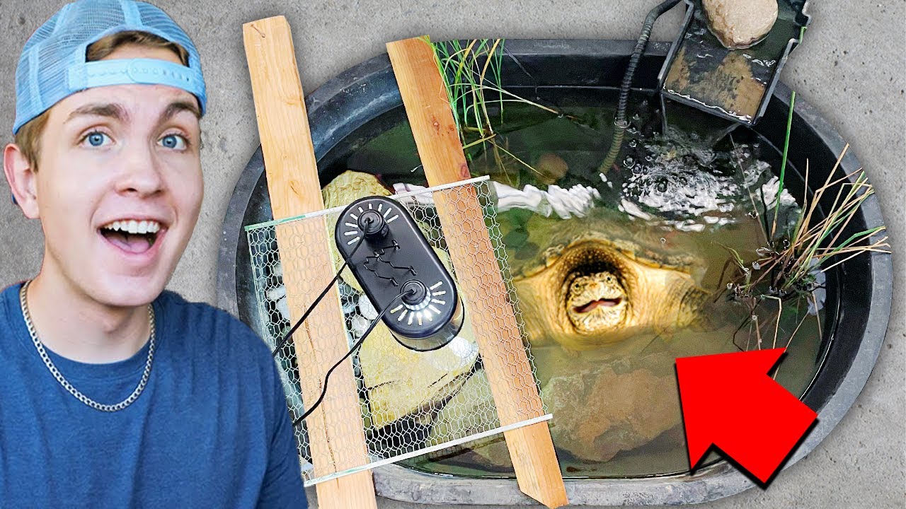 Building a MINI Turtle Pond in My Garage!! - YouTube
