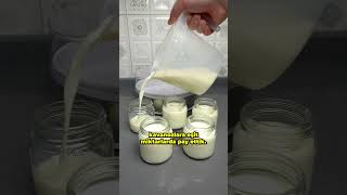 Evde Yoğurt Yapma Makinesi Alınır Mı ? - Elektrikli Yoğurt Ma Makinesi