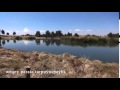 Poesía Quechua "Lluk'aq T'ikan" Autor y Voz: Wilbert Pacheco Alvarez