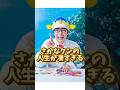 魚の天才『さかなクン』の生い立ちに関する面白い雑学