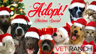 Merry Christmas from Vet Ranch!