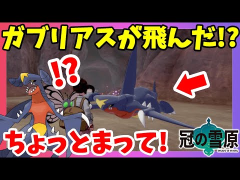 ソードシールド ガブリアスの種族値 わざ 特性など能力と入手方法 ポケモン剣盾 攻略大百科