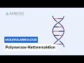 Polymerase Kettenreaktion PCR Biochemie Labormethoden AMBOSS Video