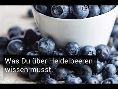 Was du über Heidelbeeren wissen musst