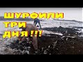 ШУРФИЛИ ТРИ ДНЯ Как это было коп 2018 - 2019