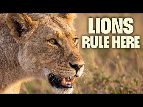The Lost World Inside an African Volcano | FULL DOCUMENTARY | Wildest Africa