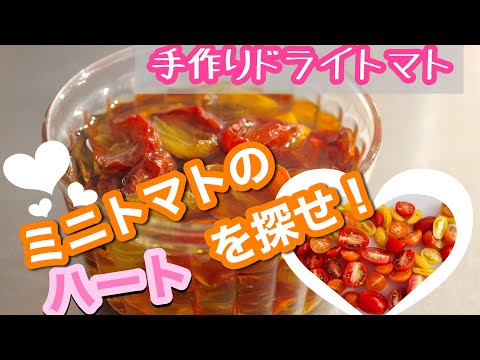 【ドライトマトの作り方】パスタやオイル漬けに！ミニトマトを使ったオーブン＆天日干しのやり方