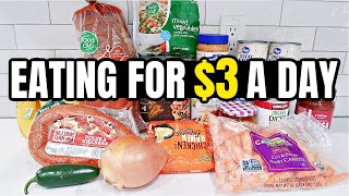 Eating for $3 a Day: Cheap and Healthy Meal Ideas You Need to Try screenshot 4