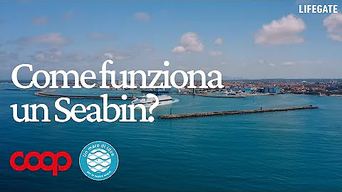 Quanti Seabin ci sono in Italia?
