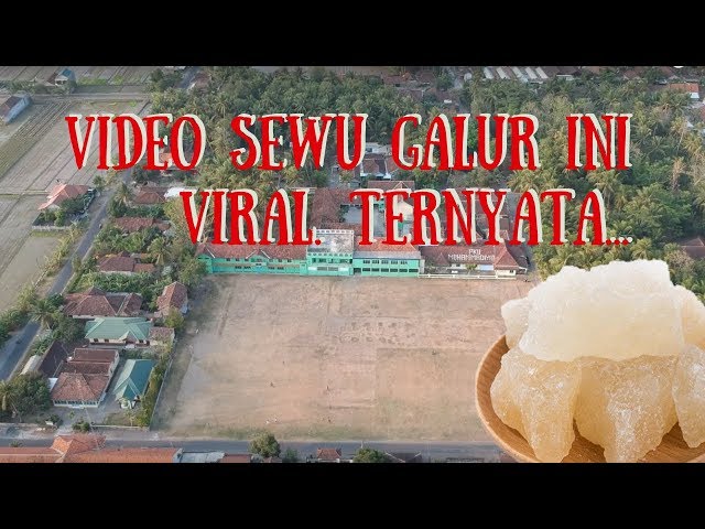 This Sewu Galur Video, Kulon Progo, Was Viral. Make You Touched class=