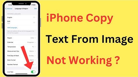How To Fix iPhone Live Text (Copy Text From Image) Not Working Problem