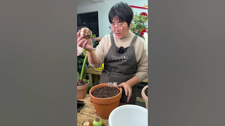 论爆花，还得是阿弗雷! - 天天要闻