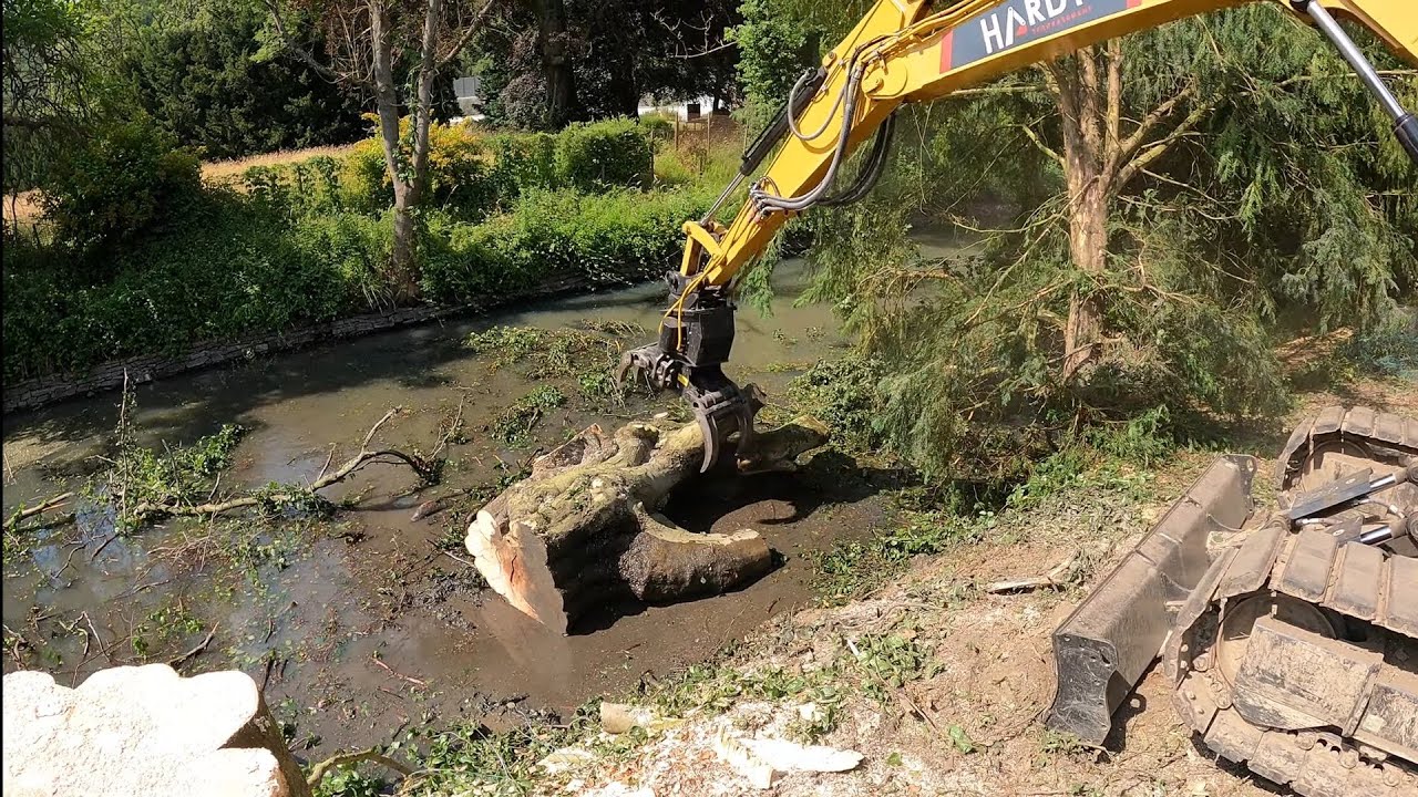 FAIL ON FAIT TOMBER UN TRONC DE 4 TONNES DANS LA RIVIÈRE / DÉMONTAGE D'UN  GROS HÊTRE