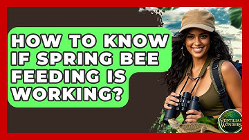 How To Know If Spring Bee Feeding Is Working? - Reptilian Wonders